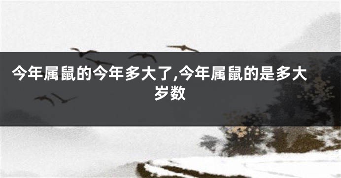 今年属鼠的今年多大了,今年属鼠的是多大岁数