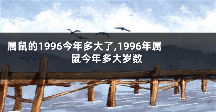 属鼠的1996今年多大了,1996年属鼠今年多大岁数