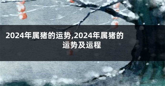 2024年属猪的运势,2024年属猪的运势及运程
