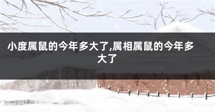 小度属鼠的今年多大了,属相属鼠的今年多大了
