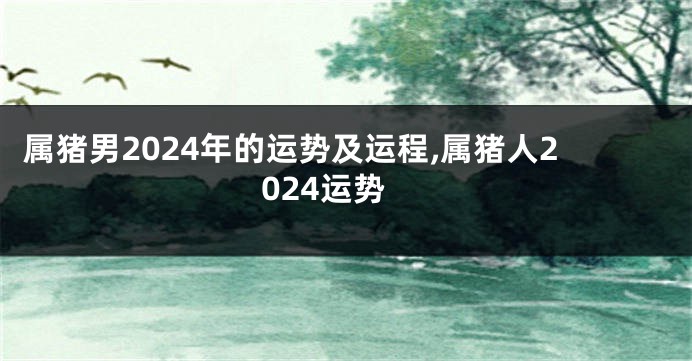 属猪男2024年的运势及运程,属猪人2024运势