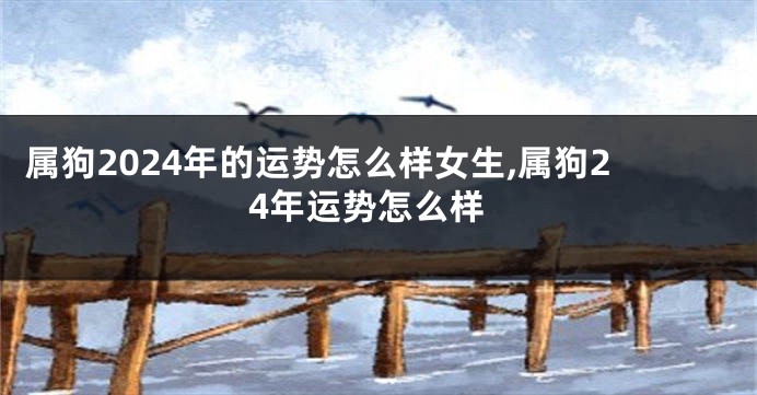 属狗2024年的运势怎么样女生,属狗24年运势怎么样