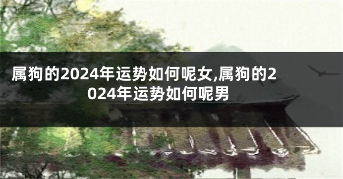 属狗的2024年运势如何呢女,属狗的2024年运势如何呢男