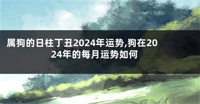 属狗的日柱丁丑2024年运势,狗在2024年的每月运势如何