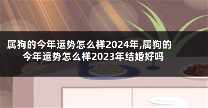 属狗的今年运势怎么样2024年,属狗的今年运势怎么样2023年结婚好吗