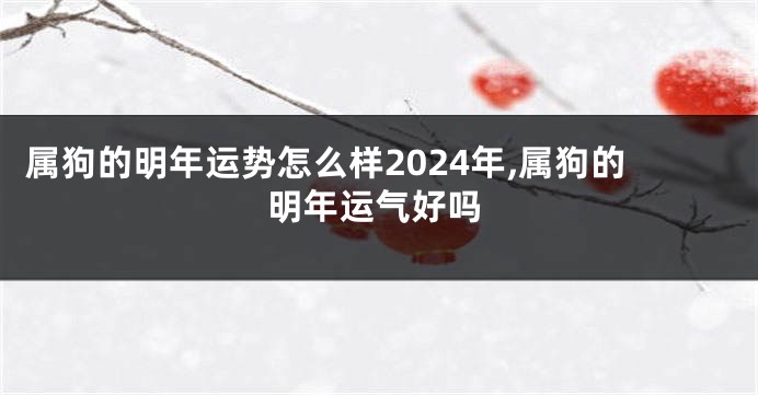 属狗的明年运势怎么样2024年,属狗的明年运气好吗