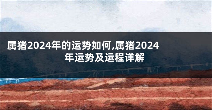 属猪2024年的运势如何,属猪2024年运势及运程详解