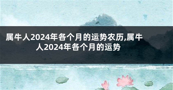 属牛人2024年各个月的运势农历,属牛人2024年各个月的运势