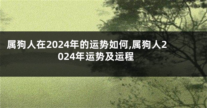 属狗人在2024年的运势如何,属狗人2024年运势及运程