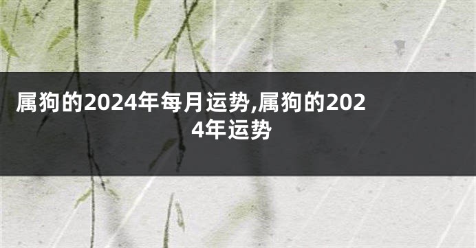 属狗的2024年每月运势,属狗的2024年运势