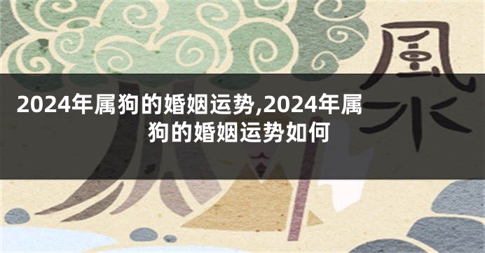 2024年属狗的婚姻运势,2024年属狗的婚姻运势如何