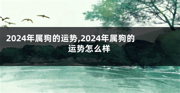2024年属狗的运势,2024年属狗的运势怎么样