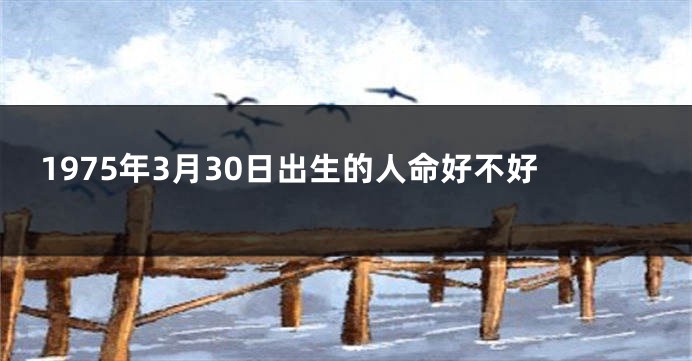 1975年3月30日出生的人命好不好