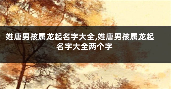 姓唐男孩属龙起名字大全,姓唐男孩属龙起名字大全两个字