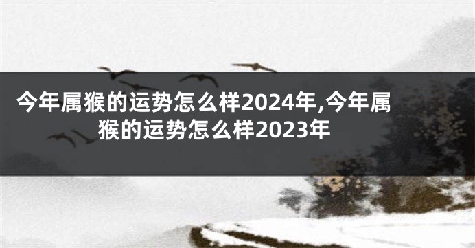 今年属猴的运势怎么样2024年,今年属猴的运势怎么样2023年