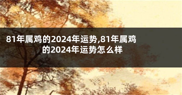 81年属鸡的2024年运势,81年属鸡的2024年运势怎么样