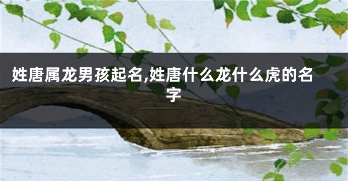 姓唐属龙男孩起名,姓唐什么龙什么虎的名字