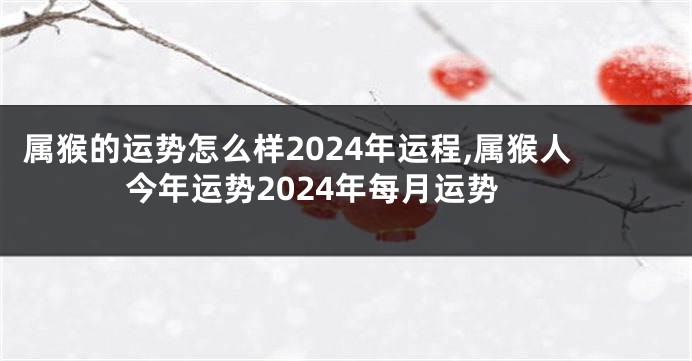 属猴的运势怎么样2024年运程,属猴人今年运势2024年每月运势