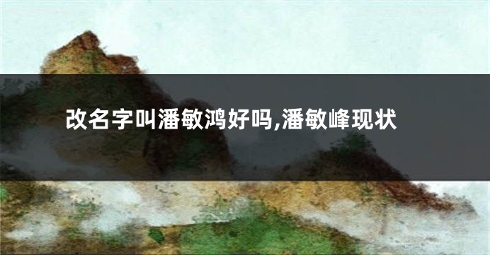 改名字叫潘敏鸿好吗,潘敏峰现状