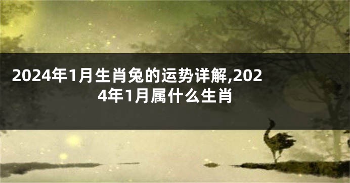 2024年1月生肖兔的运势详解,2024年1月属什么生肖
