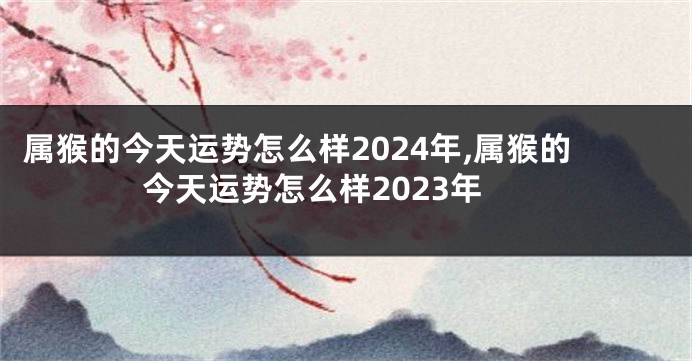 属猴的今天运势怎么样2024年,属猴的今天运势怎么样2023年