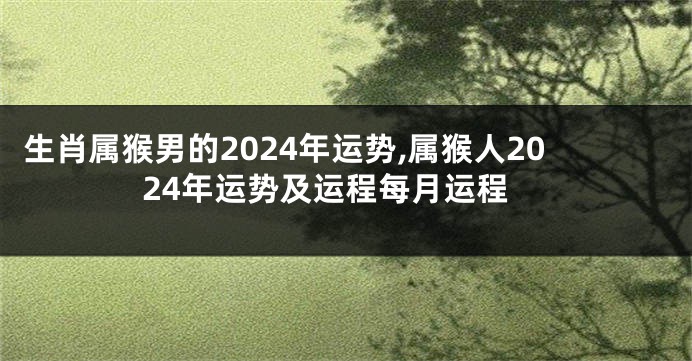 生肖属猴男的2024年运势,属猴人2024年运势及运程每月运程