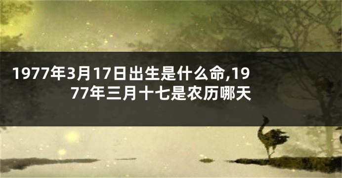 1977年3月17日出生是什么命,1977年三月十七是农历哪天