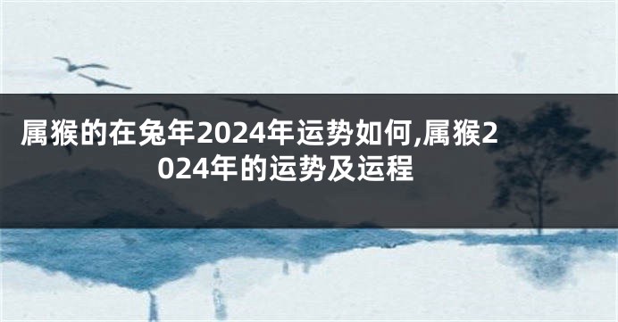 属猴的在兔年2024年运势如何,属猴2024年的运势及运程