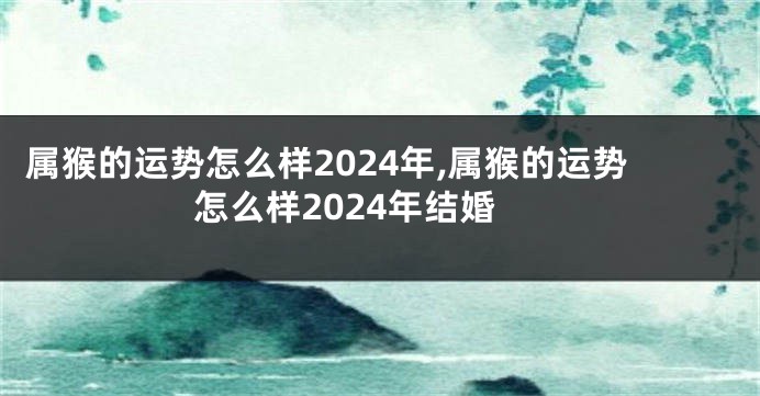 属猴的运势怎么样2024年,属猴的运势怎么样2024年结婚