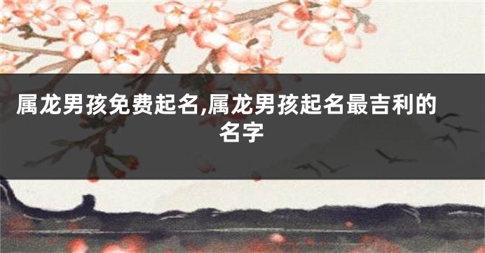 属龙男孩免费起名,属龙男孩起名最吉利的名字