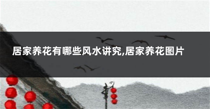居家养花有哪些风水讲究,居家养花图片