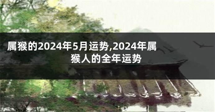 属猴的2024年5月运势,2024年属猴人的全年运势