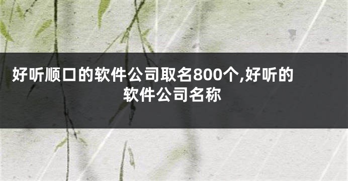 好听顺口的软件公司取名800个,好听的软件公司名称
