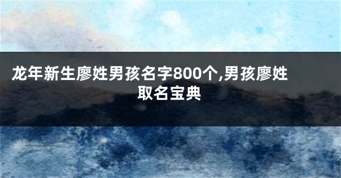 龙年新生廖姓男孩名字800个,男孩廖姓取名宝典