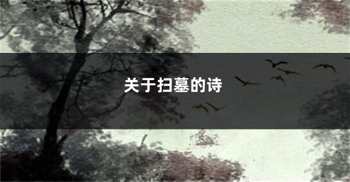 关于扫墓的诗