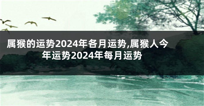属猴的运势2024年各月运势,属猴人今年运势2024年每月运势