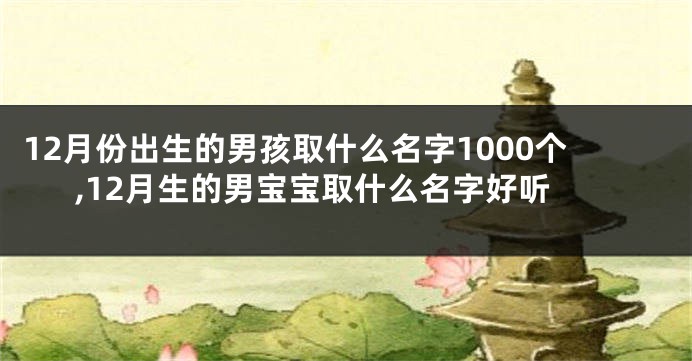 12月份出生的男孩取什么名字1000个,12月生的男宝宝取什么名字好听