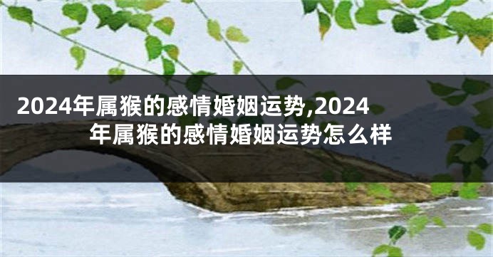 2024年属猴的感情婚姻运势,2024年属猴的感情婚姻运势怎么样