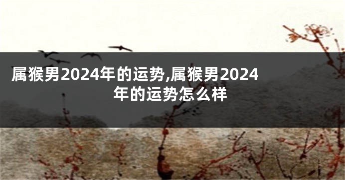 属猴男2024年的运势,属猴男2024年的运势怎么样