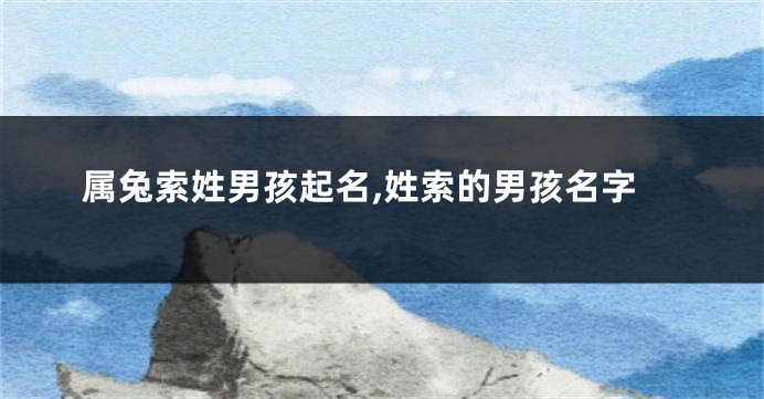 属兔索姓男孩起名,姓索的男孩名字