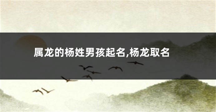 属龙的杨姓男孩起名,杨龙取名