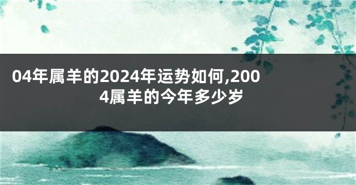 04年属羊的2024年运势如何,2004属羊的今年多少岁