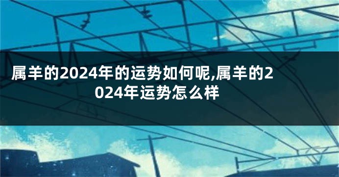 属羊的2024年的运势如何呢,属羊的2024年运势怎么样