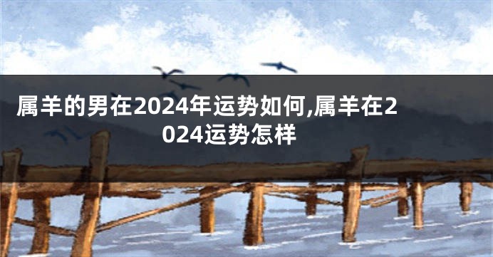 属羊的男在2024年运势如何,属羊在2024运势怎样