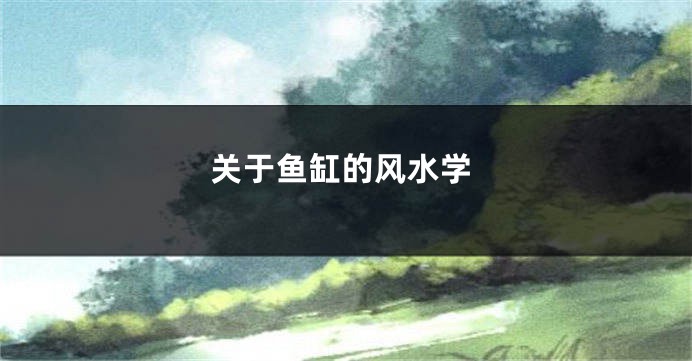 关于鱼缸的风水学