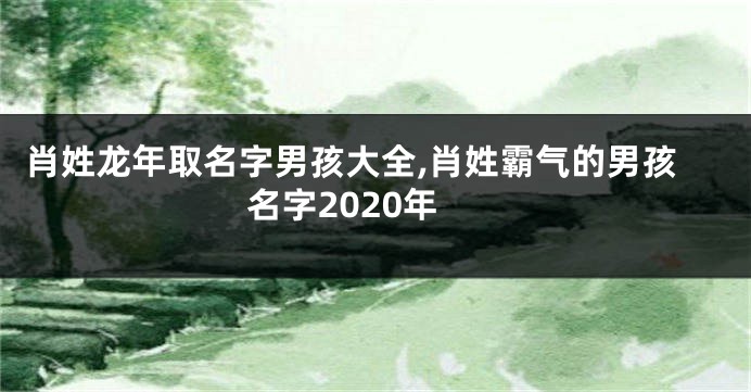 肖姓龙年取名字男孩大全,肖姓霸气的男孩名字2020年