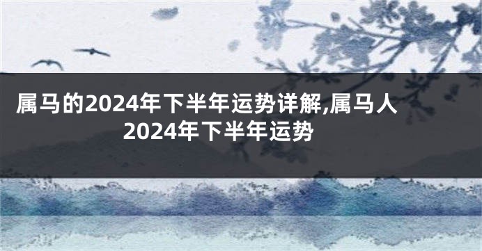 属马的2024年下半年运势详解,属马人2024年下半年运势
