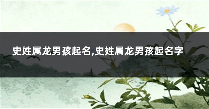 史姓属龙男孩起名,史姓属龙男孩起名字
