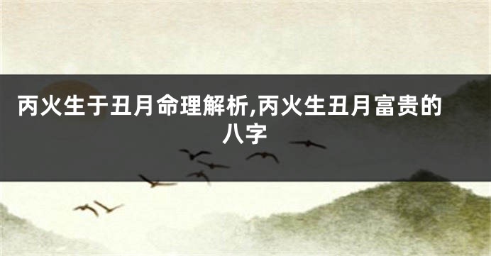 丙火生于丑月命理解析,丙火生丑月富贵的八字