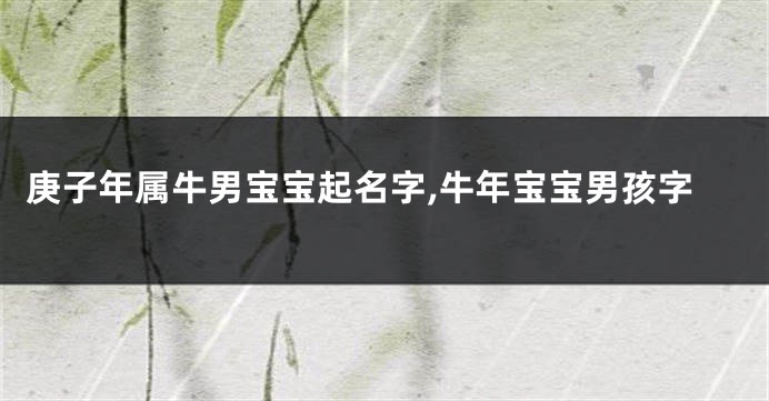 庚子年属牛男宝宝起名字,牛年宝宝男孩字
